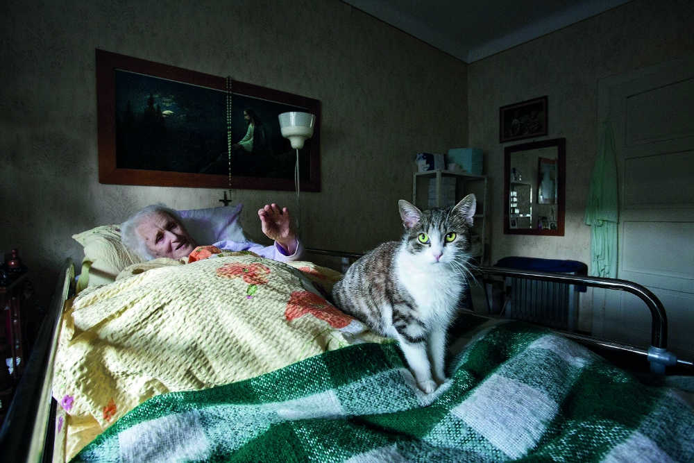 3_Portfolio_2_SILVER_FIAP_Stefi Praprotnik Borko_Grandmothers_companion