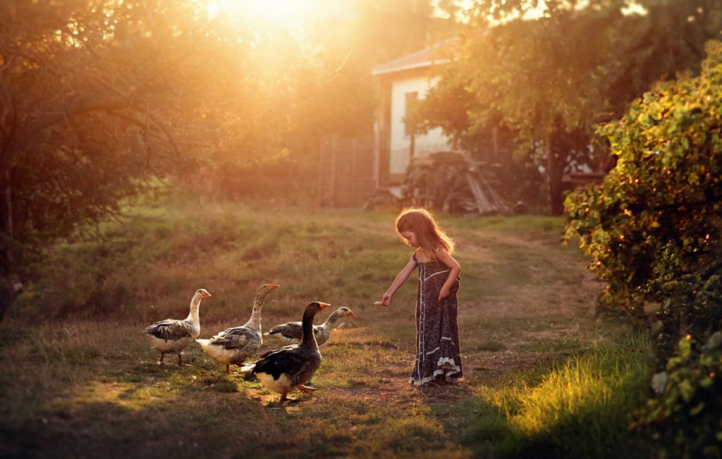 Irina_Plamenova_Stoilova_Backyard_stories_18