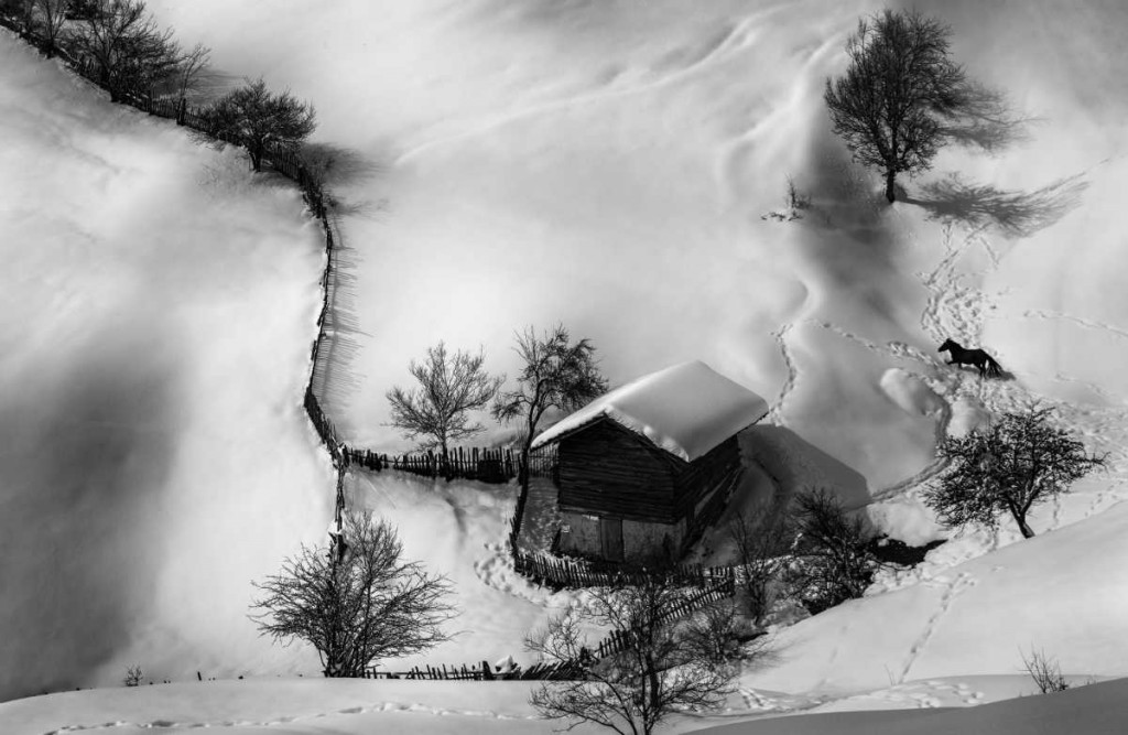 Miroslav_Ivanov_Mominski_Graphics_18