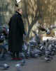 My-friends-birds