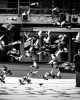 © Aleksandar Karamfilov - Man and pigeons