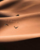 Desert messengers - 2022