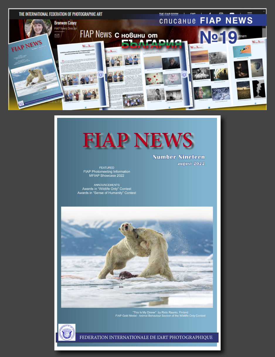 FIAP_News_19_Banner_and_Cover