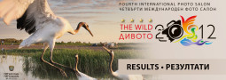 ДИВОТО 2012 – резултати