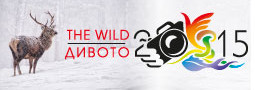 МФС Дивото 2015