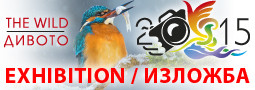 The Wild ’15 – exhibition / Дивото ’15 – изложба
