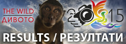 The Wild ’15 -results / Дивото ’15 – резултати