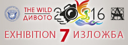 The Wild 2016 – exhibition