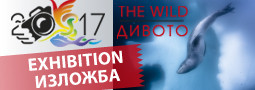 The Wild 2017 – exhibition