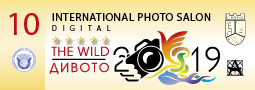 The WILD 2019 – tenth edition / Дивото 2019 – десето издание