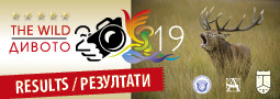 10th The WILD 2019 – results / 10-ти МФС Дивото 2019 – резултати