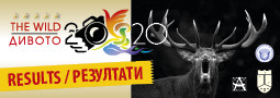 11th The WILD 2020 – results / 11-ти МФС Дивото 2020 – резултати
