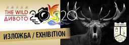 11-ти МФС Дивото 2020 – изложба / 11th The WILD 2020 – exhibition