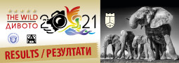 12th The WILD 2021 – results / 12-ти МФС Дивото 2021 – резултати