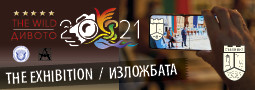 12-ти Международен фотосалон ДИВОТО 2021 – откриването!
