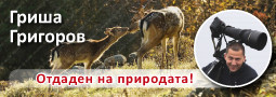 Гриша Григоров – отдаден на природата!