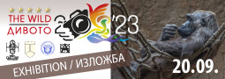 Изложба от МФС Дивото 2023