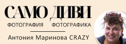 «САМО ДИВИ» – нова авторска изложба на Антония Маринова – Crazy, част от проекта “ДУХОВНИ ИЗМЕРЕНИЯ”