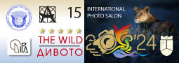 The WILD 2024/519 – 15 edition / Дивото 2024/519 – 15 издание