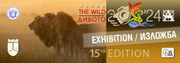15-ти МФС “Дивото” 2024 – Изложба / The WILD 2024/519 – Exhibition