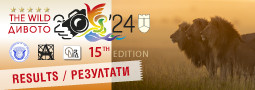 The WILD 2024/519 – Results / Дивото 2024/519 – Резултати