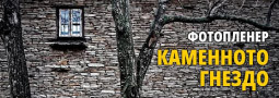 Каменното гнездо