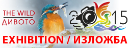 The Wild ’15 – exhibition / Дивото ’15 – изложба | Национално Сдружение ...
