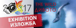 The Wild 2017 – exhibition | Национално Сдружение Фотографска Академия ...