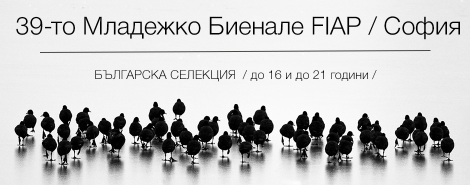 NSFA_baner_site3