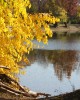Златна есен, езеро „Загорка“,  гр. Стара Загора