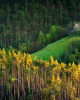 26 Presoka area Rhodopa mountain, Bulgaria - © Tsoncho Balkandjiev, EFIAP