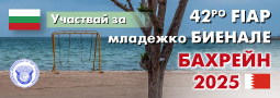 42FYB_BG_FI_entry