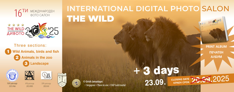 16th_THE_WILD_25_SI_plus3days