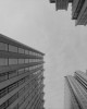 9. Хонг Конг / Hong Kong - 2014