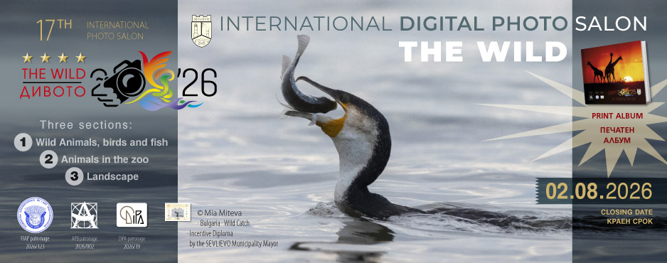 17th_THE_WILD_2026_SI