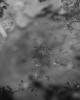 Portfolio Abstract 2