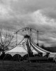 Portfolio Circus impressions 3
