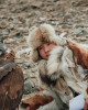 Portfolio Mongolia impressions 1